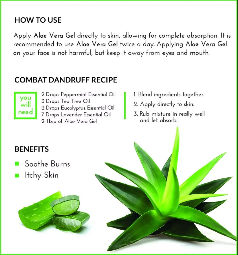 Bulk Smoothing 100 Pure Aloe Vera Gel Thailand Buy Pure Aloe Vera