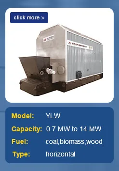 thermla oil boiler (3).jpg