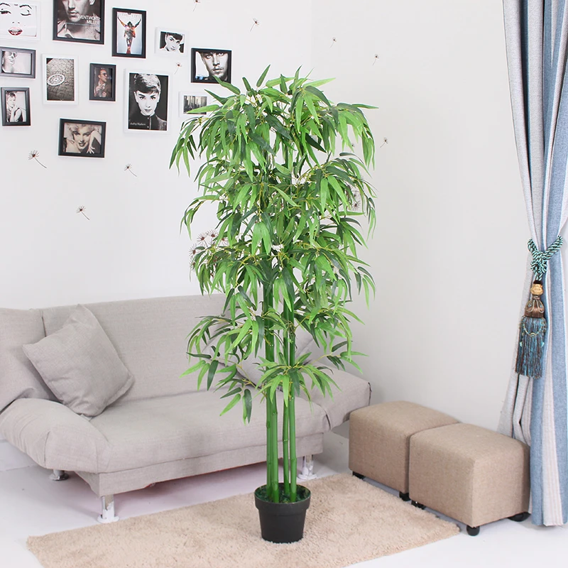 Plantas Artificiales Decorativas Para Interiores,Plantas Chinas De Bambú,Bambú  De La Suerte Para Interiores,Gran Oferta,2020 - Buy Chinese Bamboo Plants  Lucky Bamboo Indoor,Cheap Artificial Plants,Dry Decoration Bamboo Product  on Alibaba.com