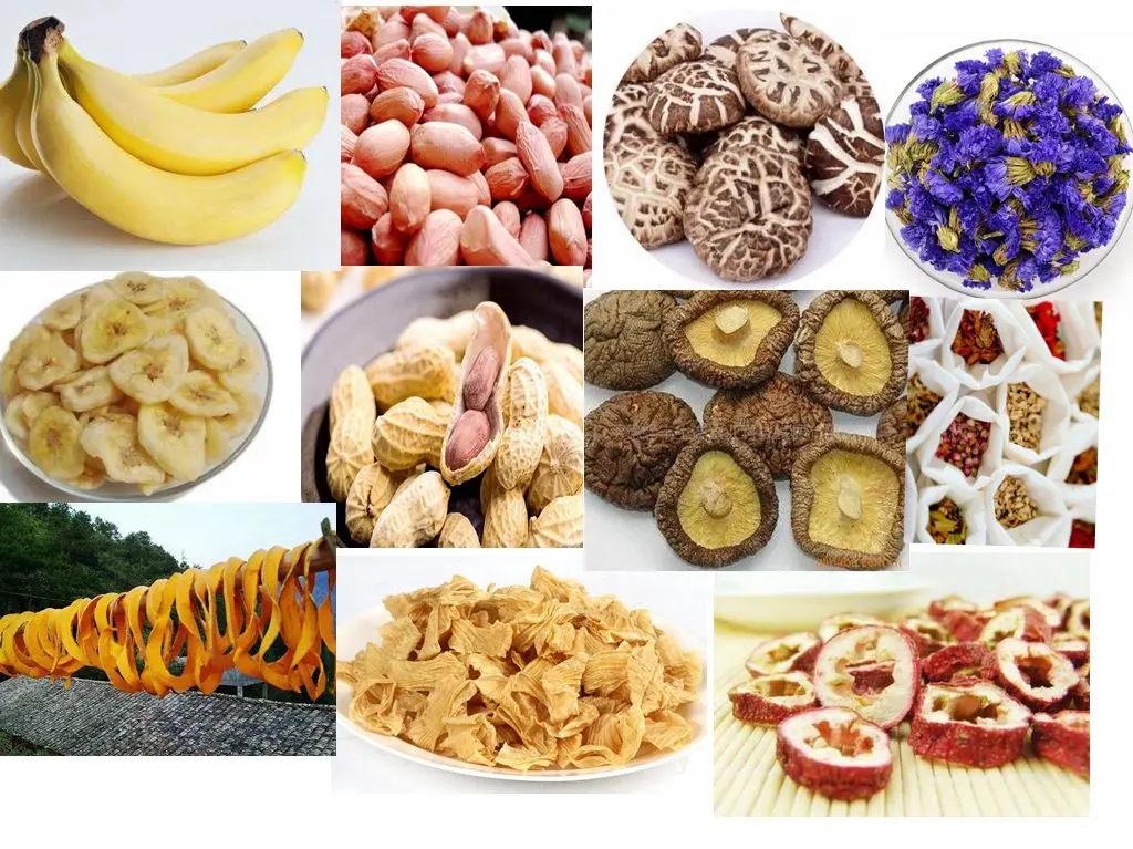 mesh belt dryer(40).jpg