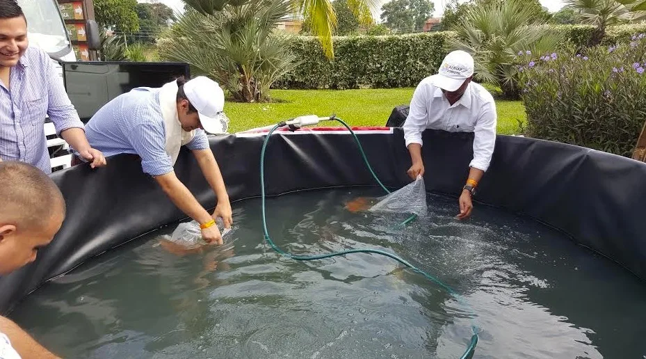 Large Pond Liner