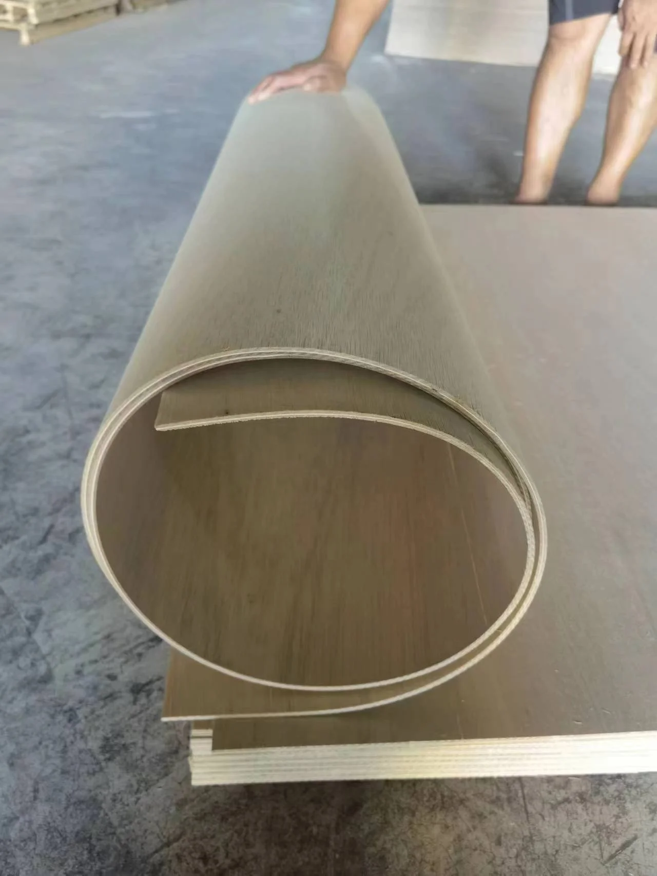 5mm Bending Plywood,Bent Furniture Plywood Poplar Plywood E1 Glue Buy