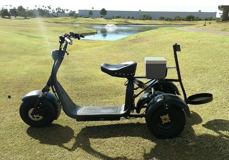 Stable Performance Etrike Electric Scooter 3 Wheel Golf Club Fat Tire