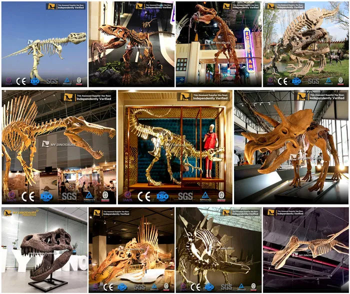 museum skeleton replica.jpg