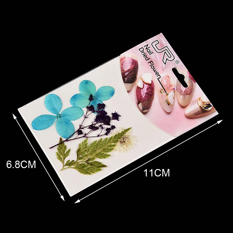 9 Colors Mixed Natural Dry Nail Flowers Wholesale 3d Nail Art