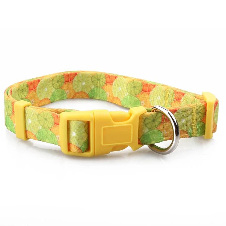 Pet Collar-2
