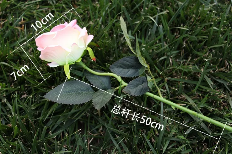 valvet rose-19.JPG