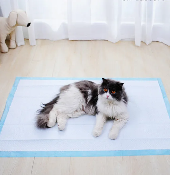 pet pad training.jpg