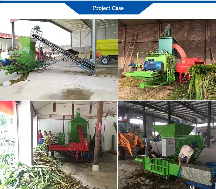 project case.JPG