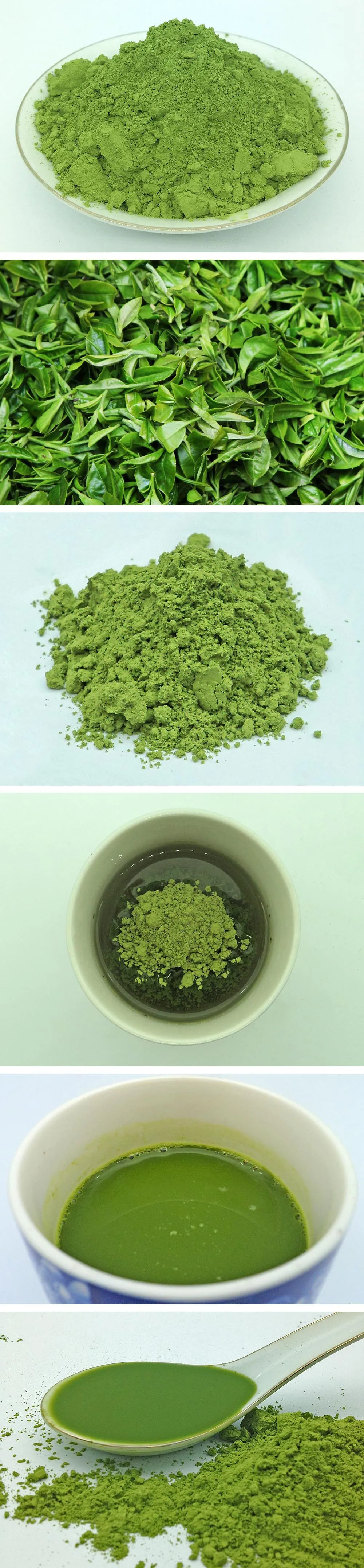 Top Quality Green Tea Matcha Powder from Matcha Wholesale - 4uTea | 4uTea.com
