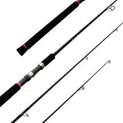 Newbility 2021 high quality 40T high carbon 10ft 2 sections Fuji guide and reel seat spinning rod