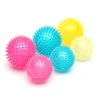 Soft bouncing squeaky tpr dog toys spiked ball for dogs