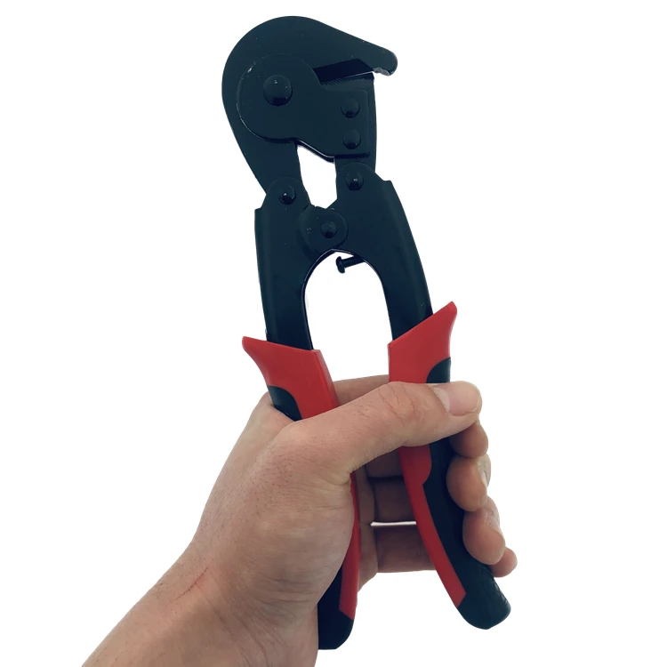 2019-12-23 125127.jpg