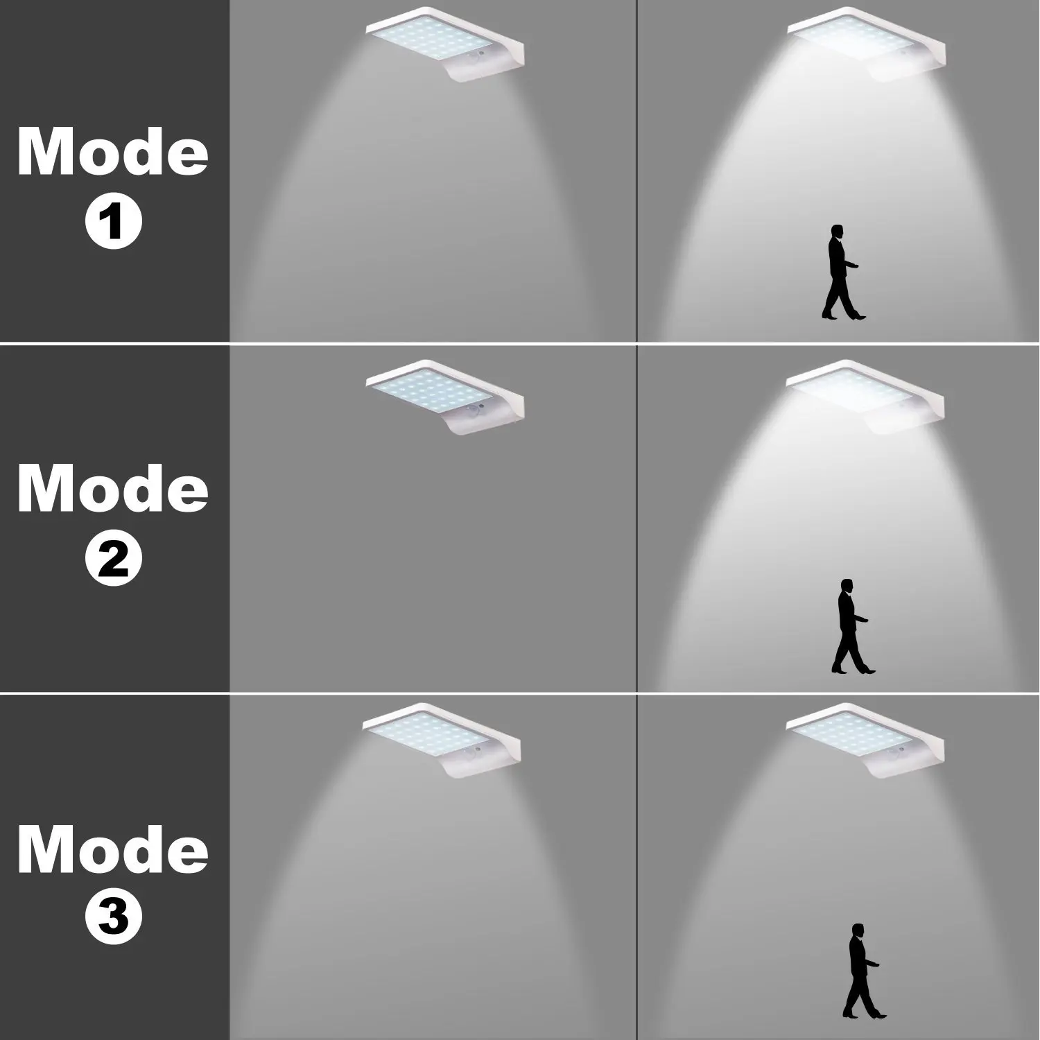SD36 (4).jpg