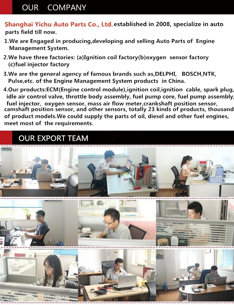 company information.jpg