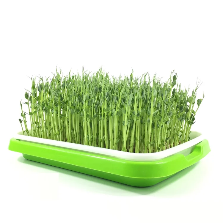 Seed Germination Tray BPA Free Nursery Tray for Seedling Planting Great for for Garden Home Office Homend Seed Sprouter Tray 3 