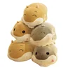 Bestdan different expression Hamster Doll plush toy sleep warmer nap plush pillow with zipper