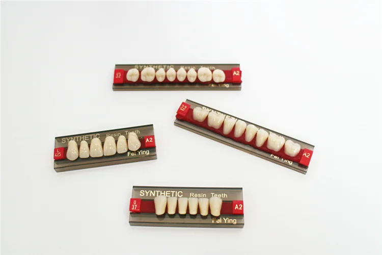 Dental Super Hardness Artificial Teeth/acrylic Resin Teeth/ Composite
