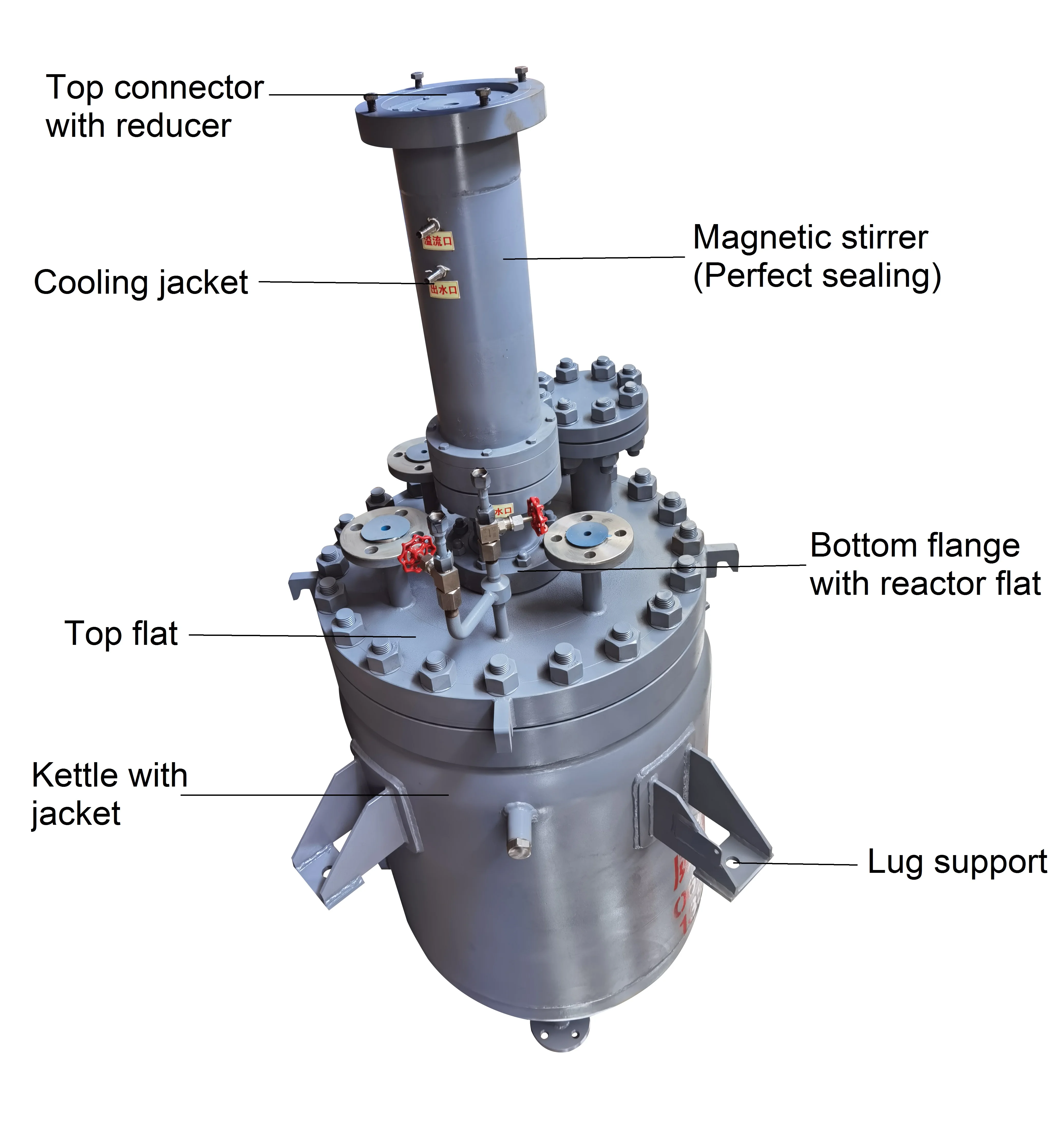 Top entry magnetic agitator