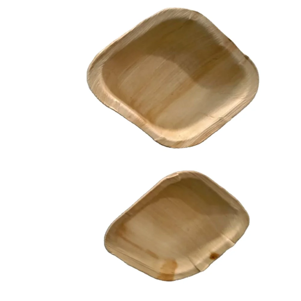 100 Organic Natural Areca Palm Leaf Disposable Plates And Spoons New