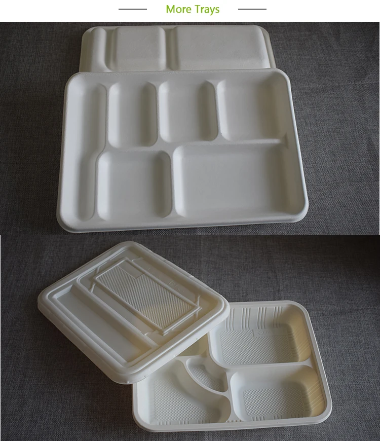 Biodegradable Disposable Bagasse Tray With 4 Compartments For Fast Food