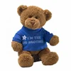 Customized Branded Plush Toy Teddy Bear Soft Toy With T-shirt Classic Stuffed Animal Teddy Bear Plush Toy