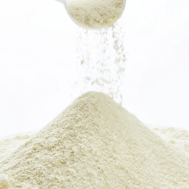 Gold Standard Whey Protein Powder - Customizable Options