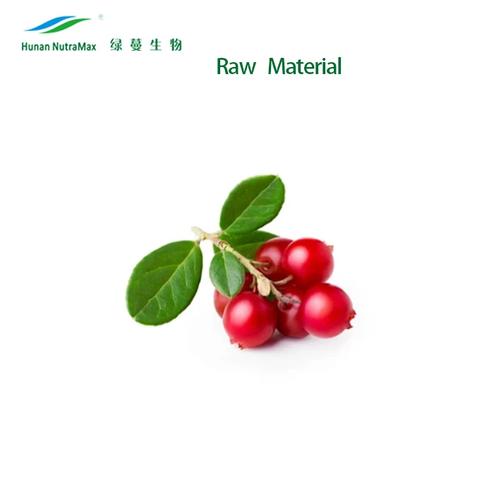 cgmp factory supply bearberry leaf extract alpha-arbutin powder