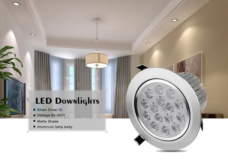 Ceiling Down Light  (1).jpg