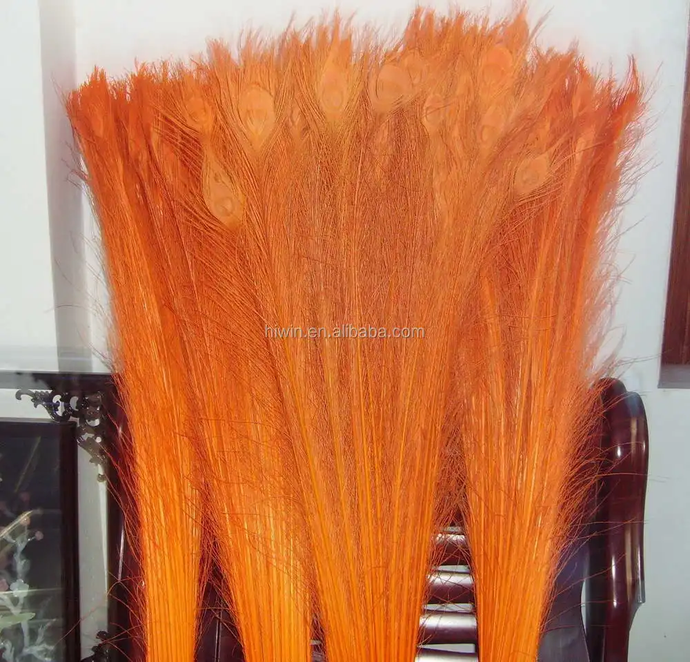 bleached dyed peacock.JPG