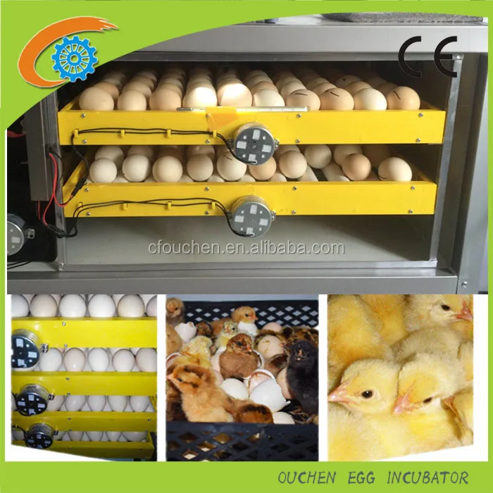 New Design Egg Incubator Roller Type Egg Turning Tray Buy Roller Tray