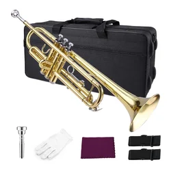 Accept OEM High Quality Cheap Gold Bb Trumpet Brass JYTR401