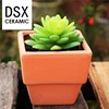 DSX Ceramic Wholesale garden supply square bonsai terracotta pot