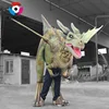 Custom Handicraft Present Chinese dragon Costume