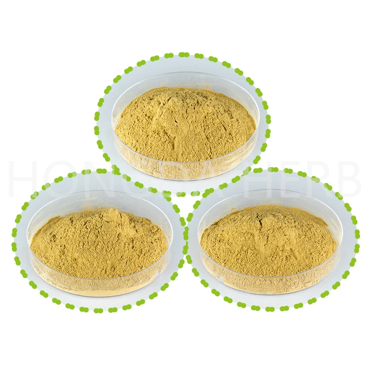 Mango Leaf Extract