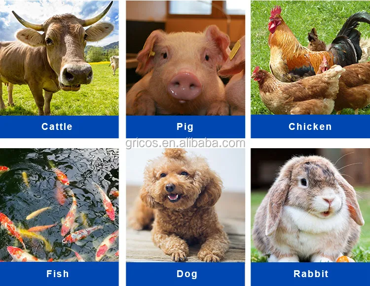 animal feed pellet making machine