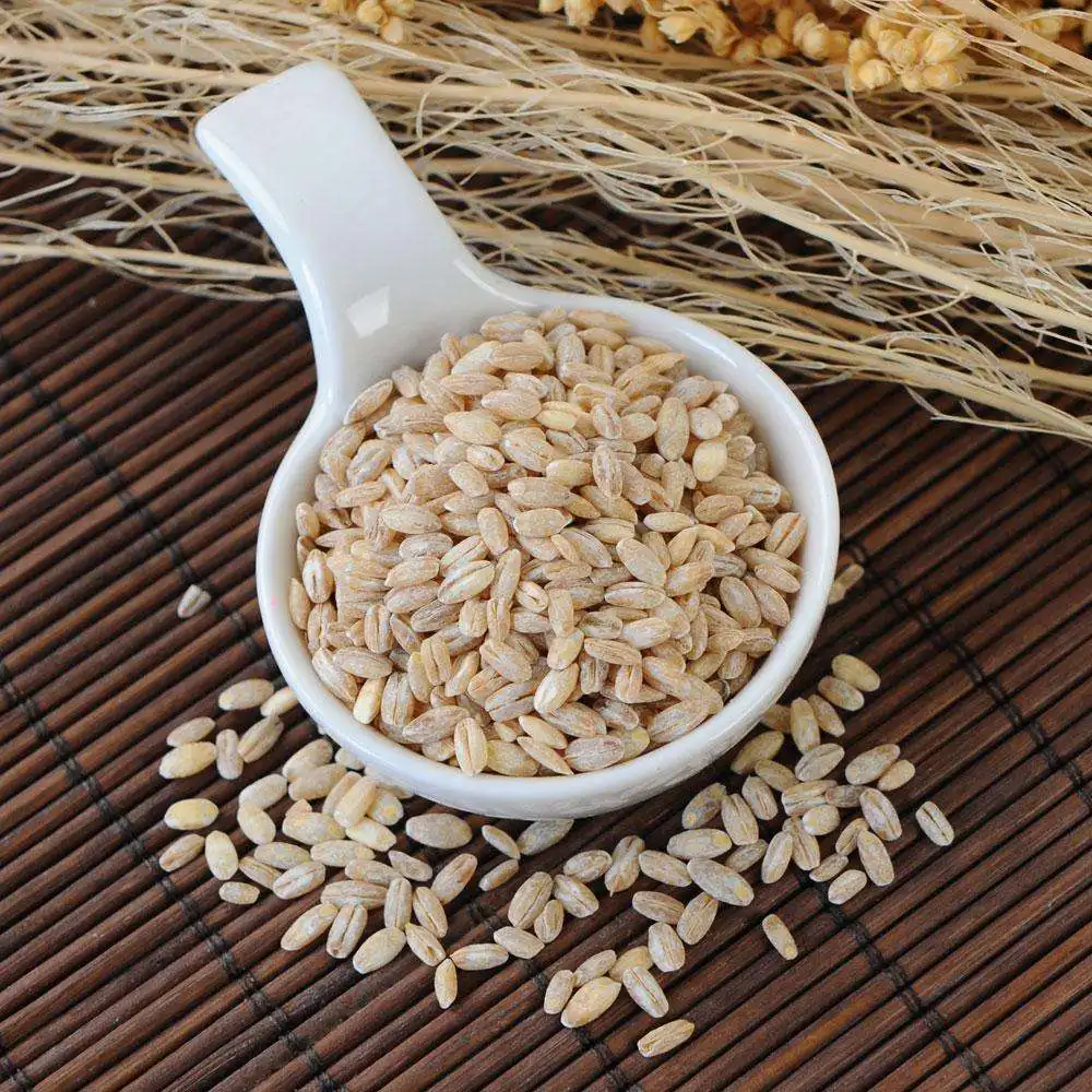 WHOLESALE HULLED PEARL BARLEY High Quality Wheat Wheat Grain Barley