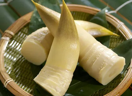 canned bamboo shoot whole in water