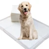 Maternity Underpad 60*90Cm Machine With Oem Services