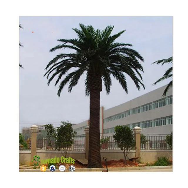 Tornado Crafts Artificial Palm Tree Plants Canada Artificial Date Palm
