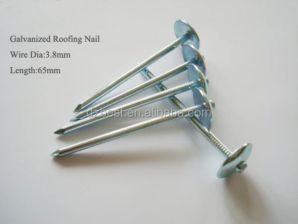 9bwg-umbrella-head-nail-.jpg