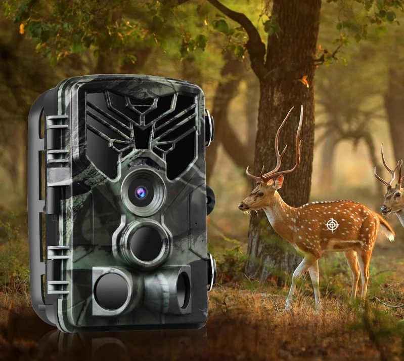 wifi 830 trail camera