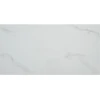 300x600 marble look toilet border wall and flooring tile