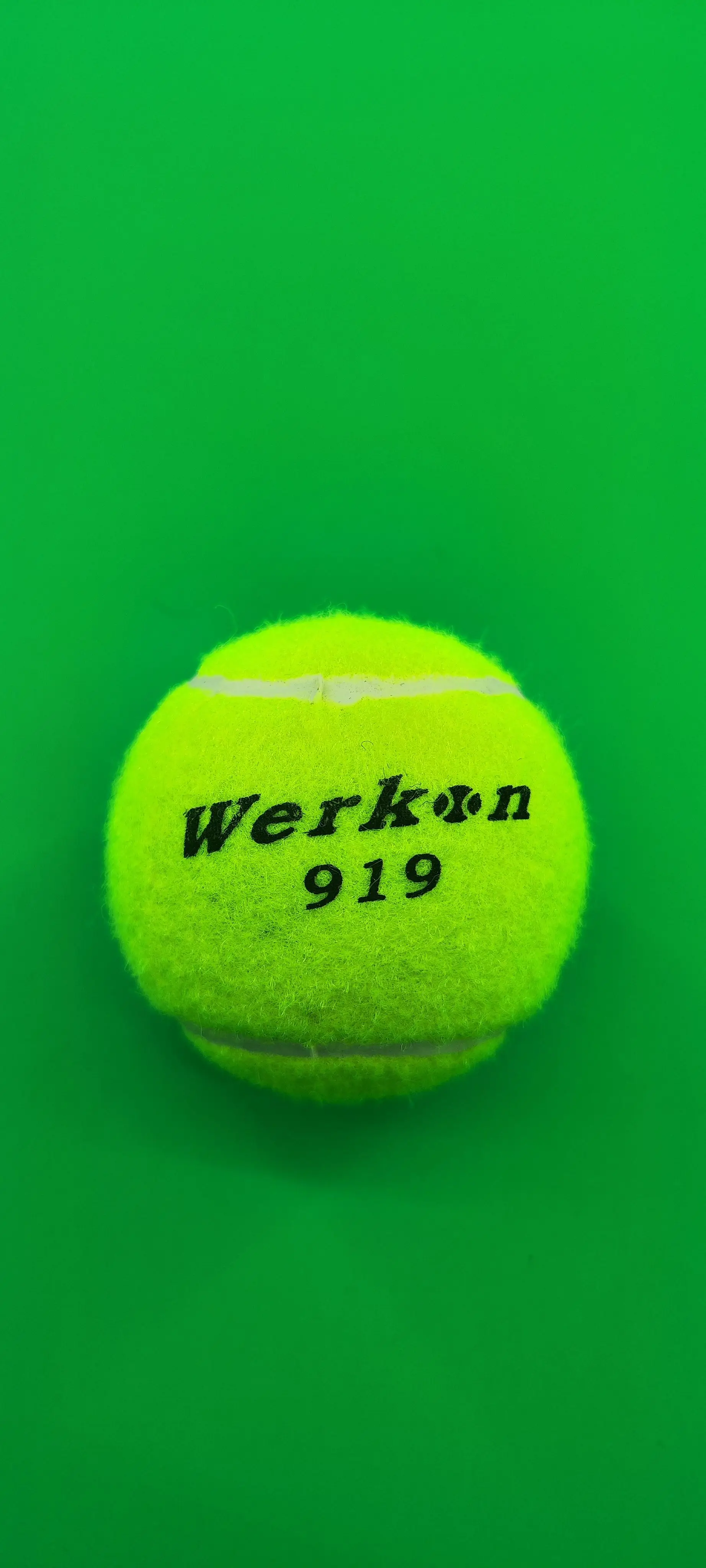 Tennis 919 12 Sports Training Balls for Badminton and Tennis Printed Logo Wear Resistant Cost-effective Plastic Bag Packaging