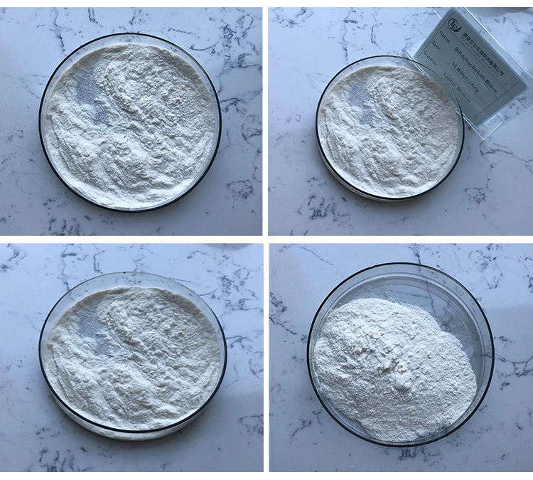 food grade probiotic bifidobacterium breve