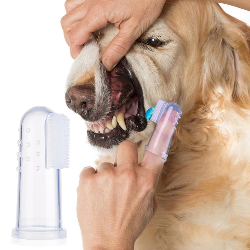 dog finger toothbrush