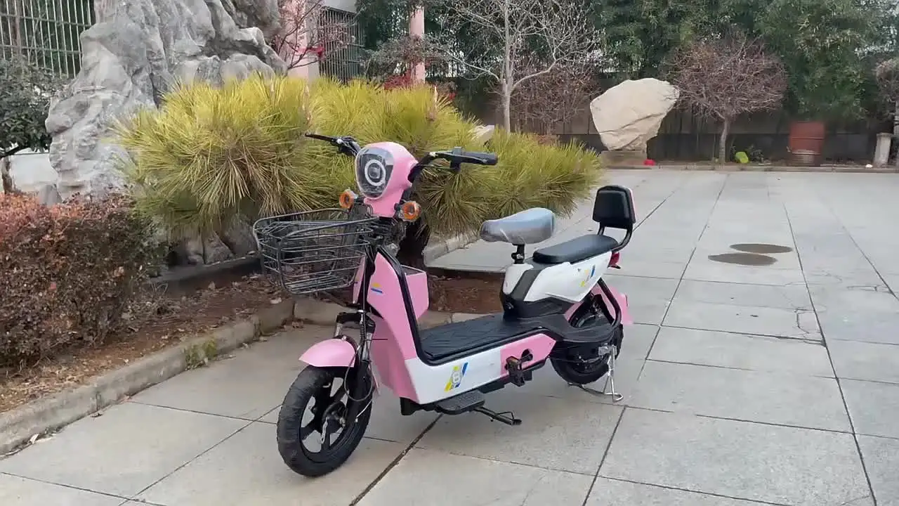 Electric Bike 500w 60v20 City Ride at 30-50 Km/h