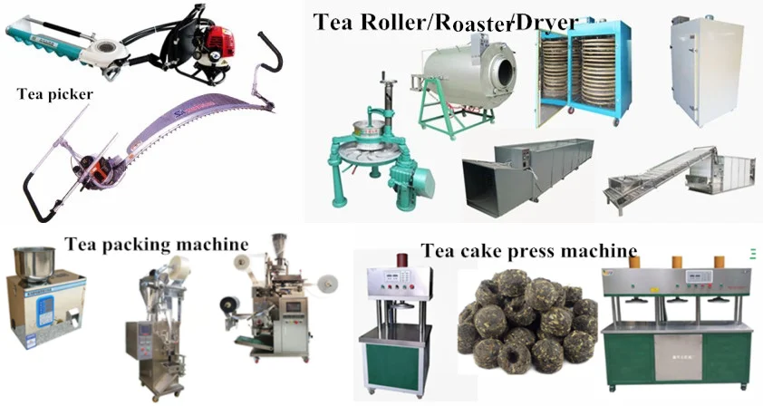 Orthodox Green Tea Leaf Steaming Machine - 1 Year Warranty