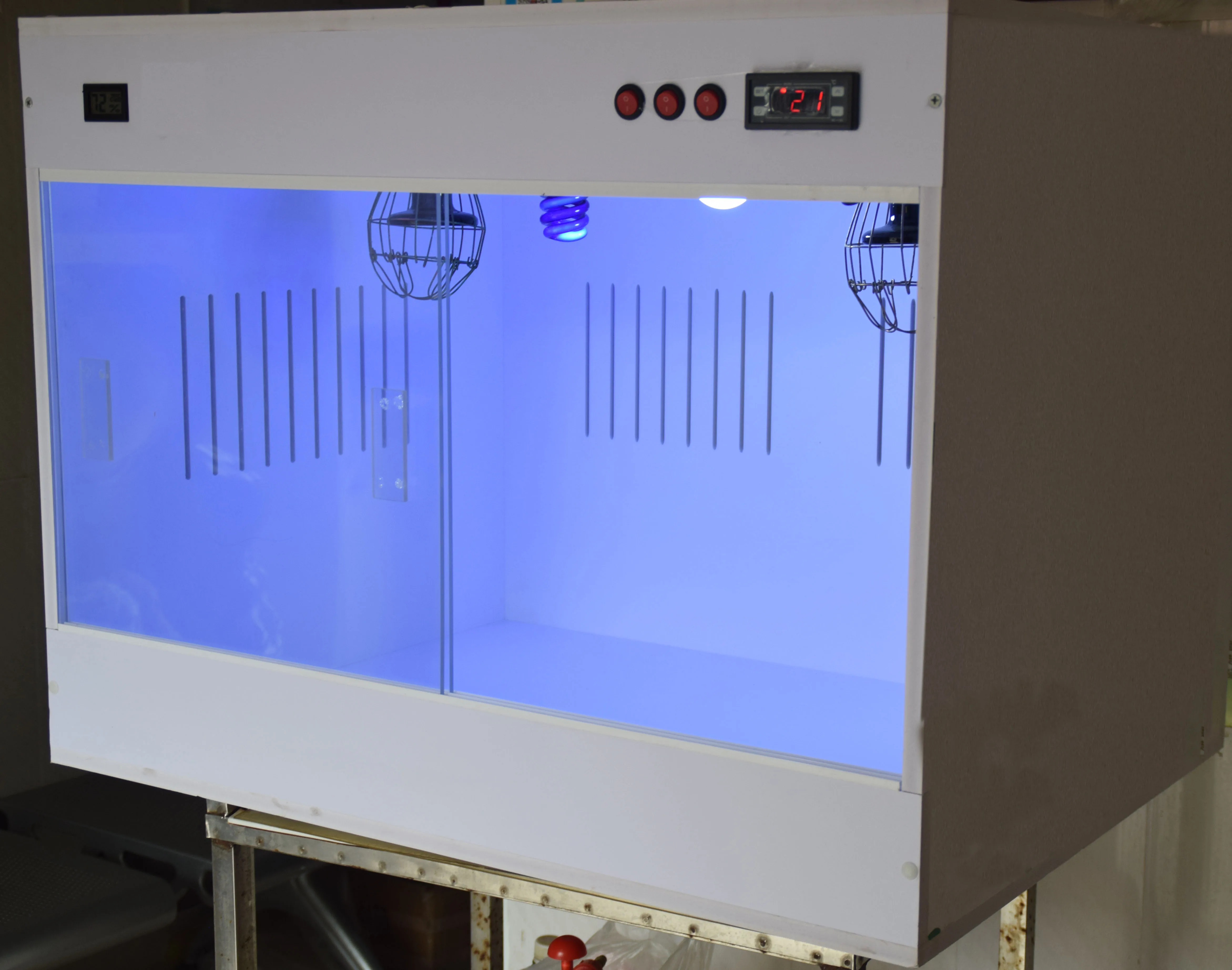 Pet ICU Incubator for Dogs, Cats & Hedgehogs - Adjustable Temp & UV ...