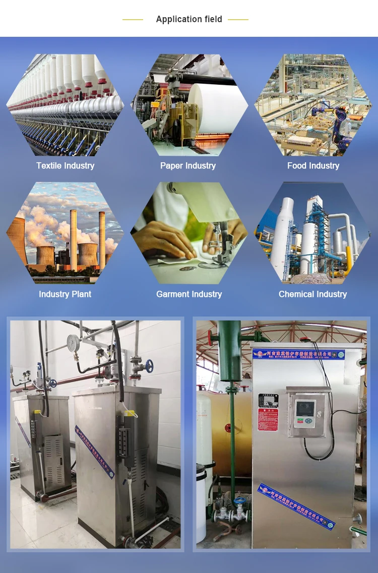 Ldr 6-72 Kw Portable Electric Boiler Steam Generator For Laundry